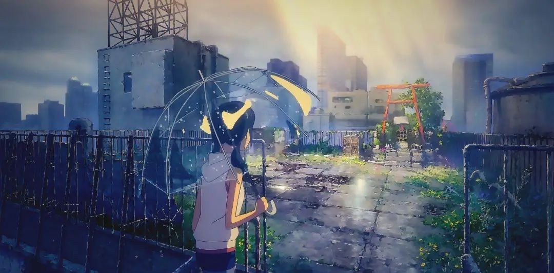 公众号如何获得盈利,公众号从零开始做盈利教程