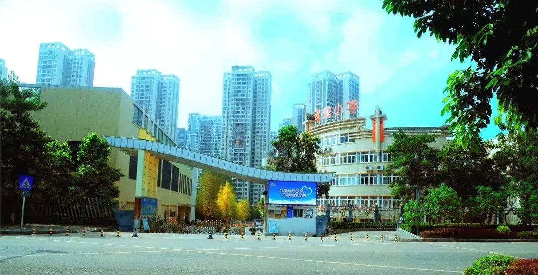 重庆集团化办学的利与弊,重庆一体化办学