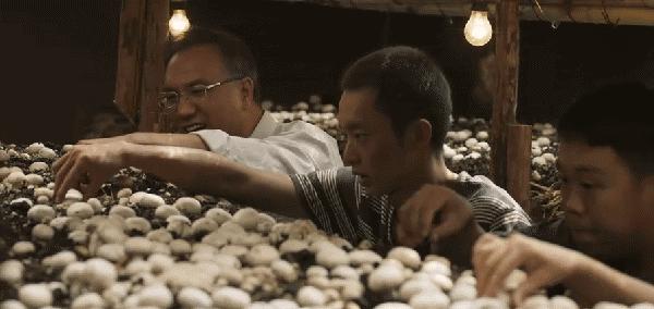 白宇帆角色合集,白宇帆是几线艺人