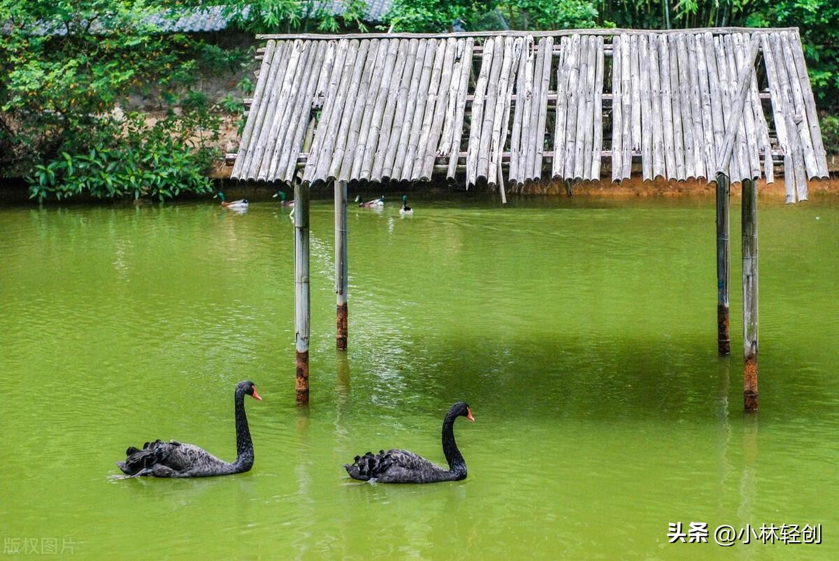 茂名旅游景点推荐免费的,广东茂名旅游景点排名前十名大全