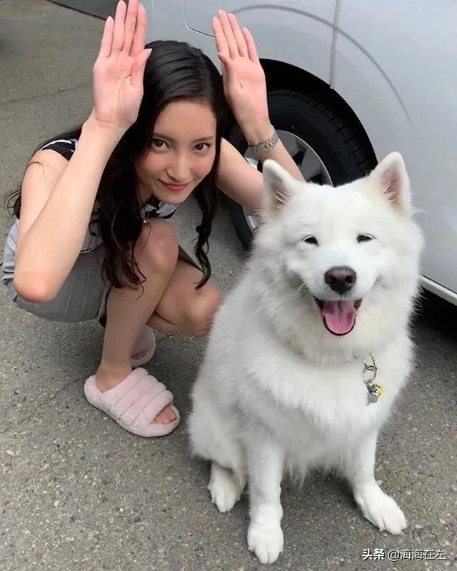 岛国最美恶女专业户——菜菜绪