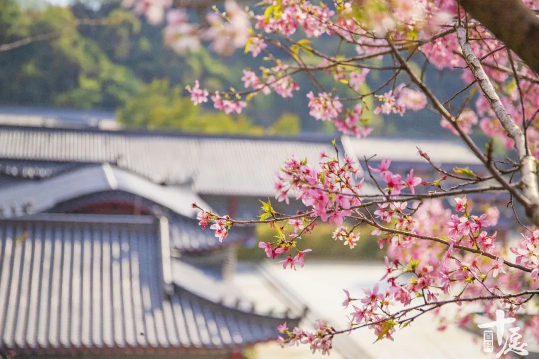 寺庙门槛不能踩的真正意思,坐寺院门槛有什么忌讳吗