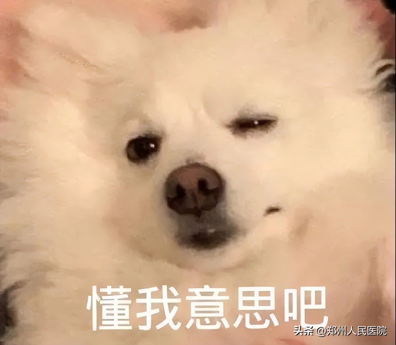 “节省”差点要命!一个甜瓜让男子失去意识......