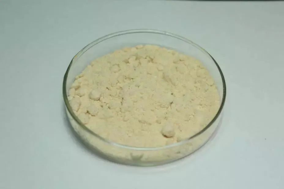 全国禁毒知识竞赛,高一禁毒知识答案