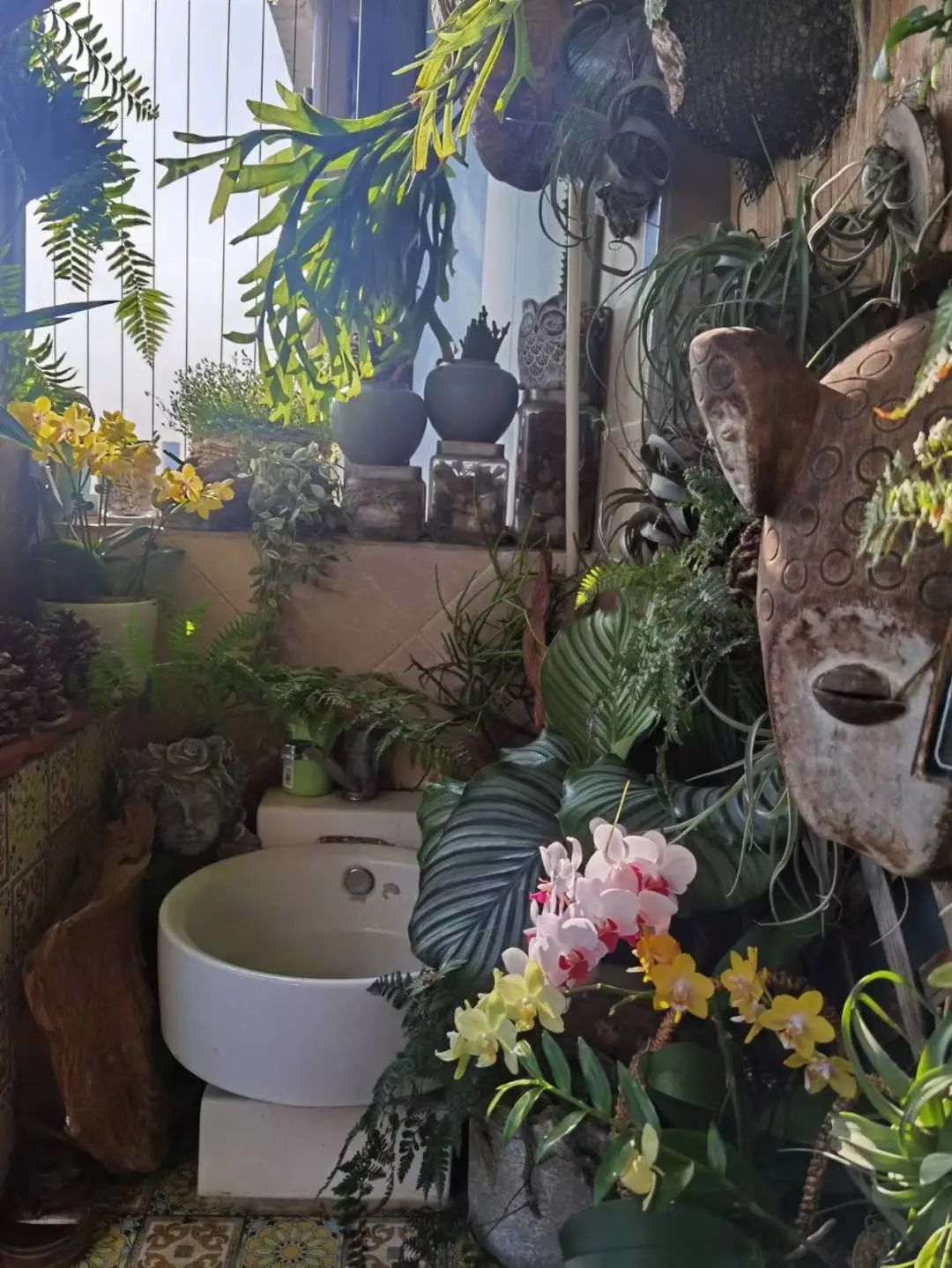 很多人羡慕的阳台,让别人羡慕的阳台