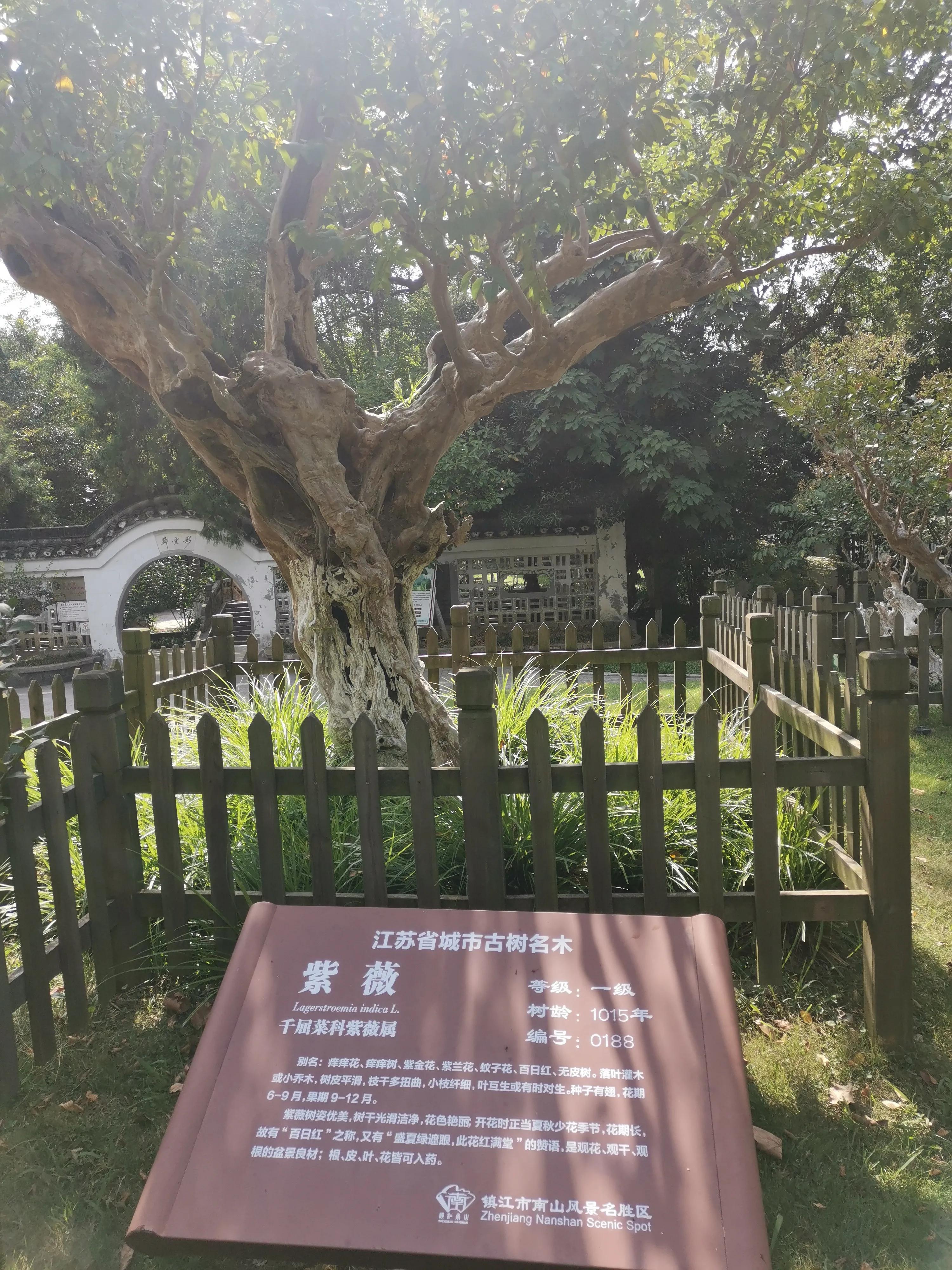 南京出发到镇江一日游跟团多少钱,南京去镇江旅行攻略路线