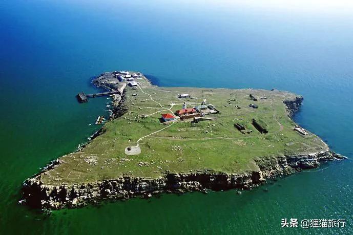 乌克兰蛇岛真的有蛇吗,乌克兰蛇岛是真的有蛇吗