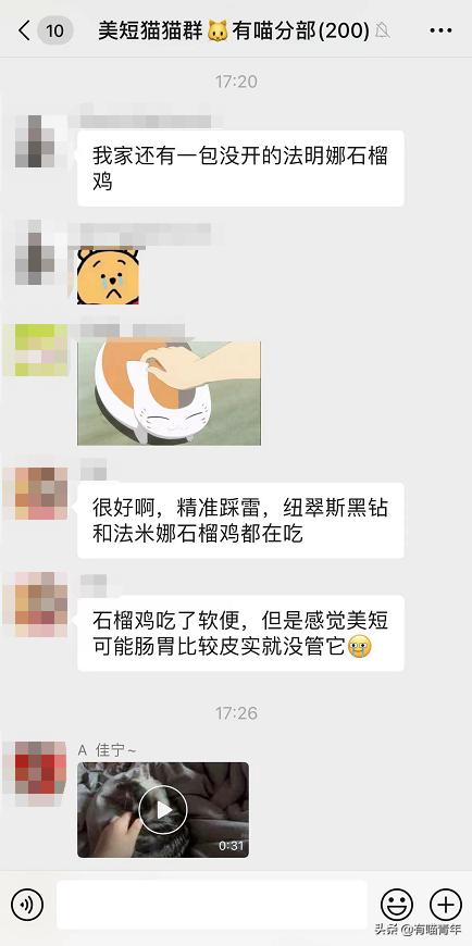 被央视曝光的猫粮,进口猫粮与国产猫粮能掺起来吃吗