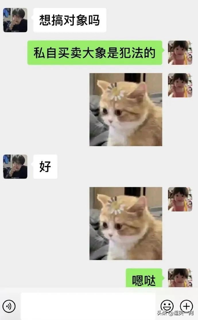 直男的神回复操作,直男的搞笑神回复