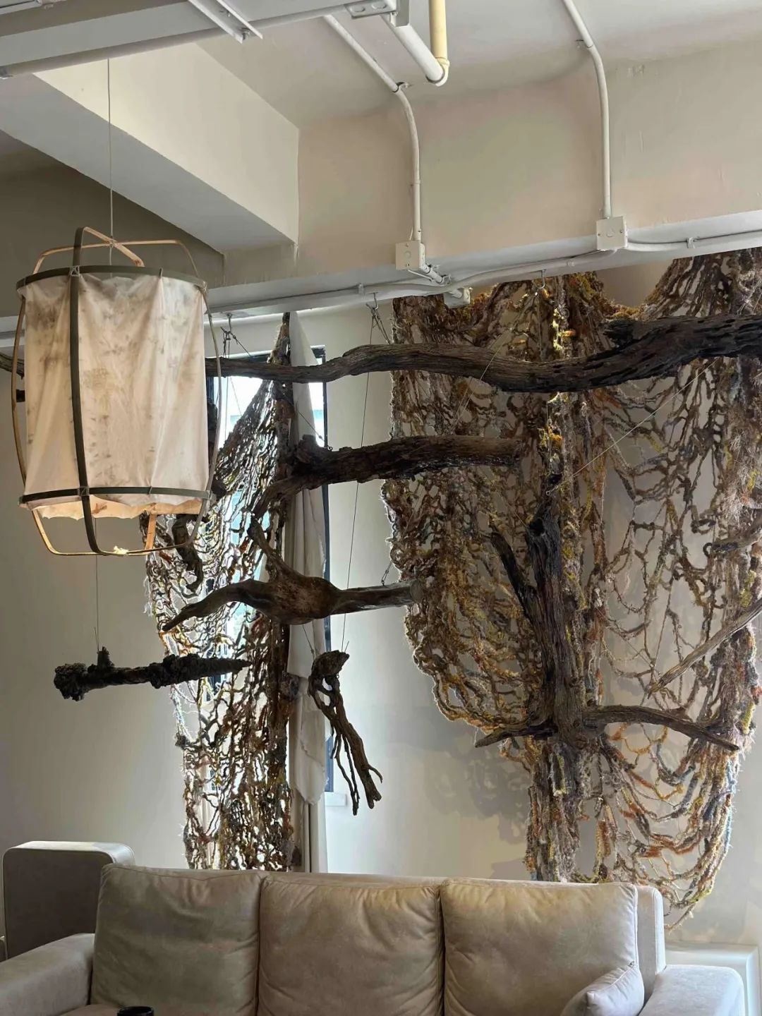 中国内地第1、亚洲第11回归了，6月新店速递