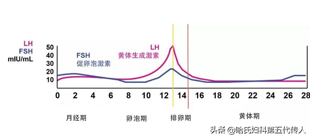年纪轻轻卵巢早衰怎么补救,没到更年期但是卵巢早衰怎么调理