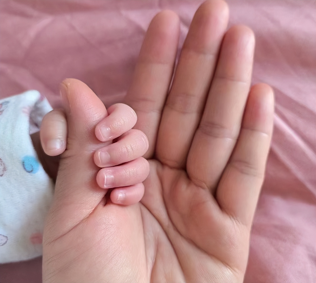 高血压适合做月嫂吗,毛躁的人适合做月嫂吗