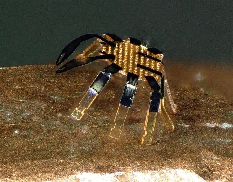 特考韦瑞和布林西多福韦,特考韦瑞和更昔洛