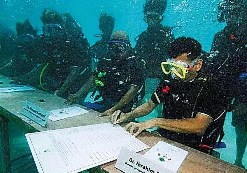 了解亚洲国家马尔代夫,马尔代夫属于欧洲还是亚洲