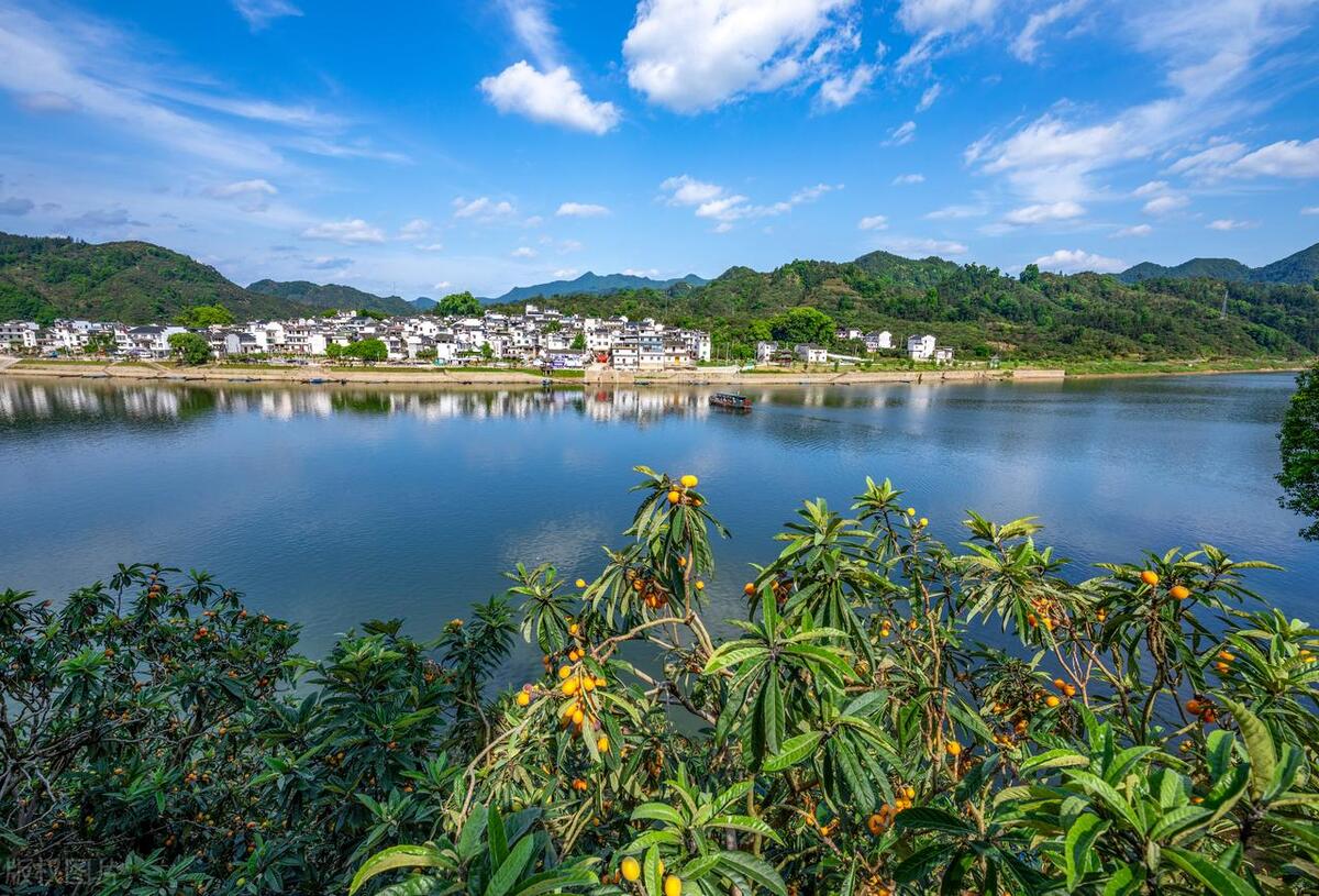 黄山本地人游黄山景区免费吗,安徽人游黄山免门票政策是什么