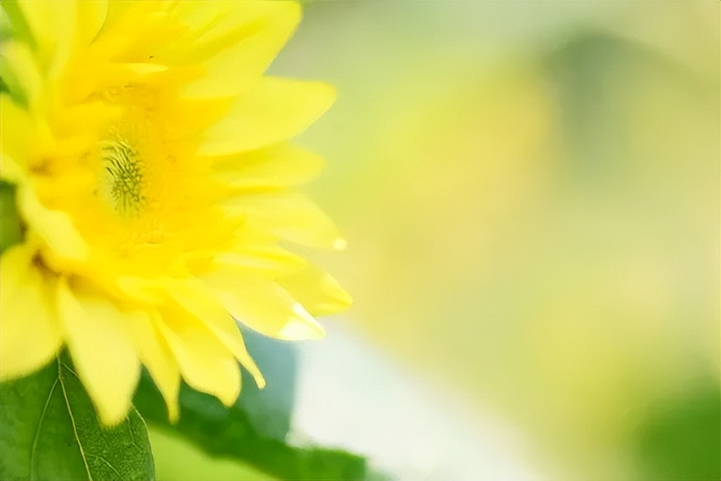 微信上从不发朋友圈的女人，不是低调，十有八九是五种人