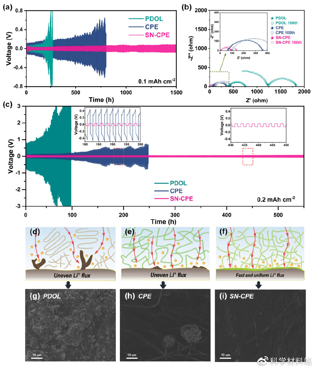 原位聚合凝胶电解质,原位聚合电解质示意图