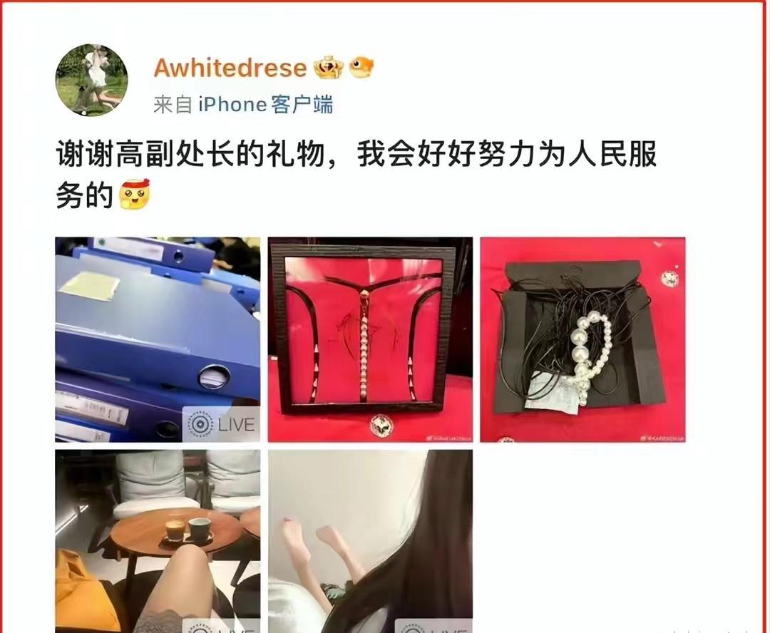 景科长的小香蕉，高副处长的珍珠情趣*裤内**，都是什么鬼！