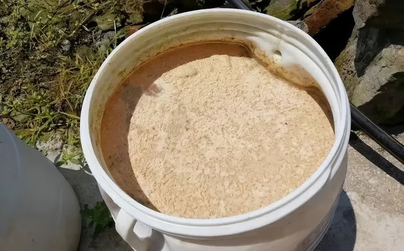 羊喂枯草芽孢杆菌的正确使用方法,兰花枯草芽孢杆菌的最佳使用方法