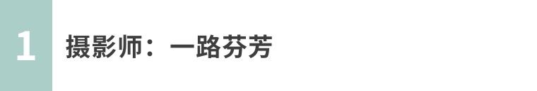 手机摄影作品欣赏夏荷之韵,夏荷摄影效果怎么样