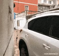 猪八戒的钉耙比悟空谁强,孙悟空金箍棒和猪八戒的九齿钉耙