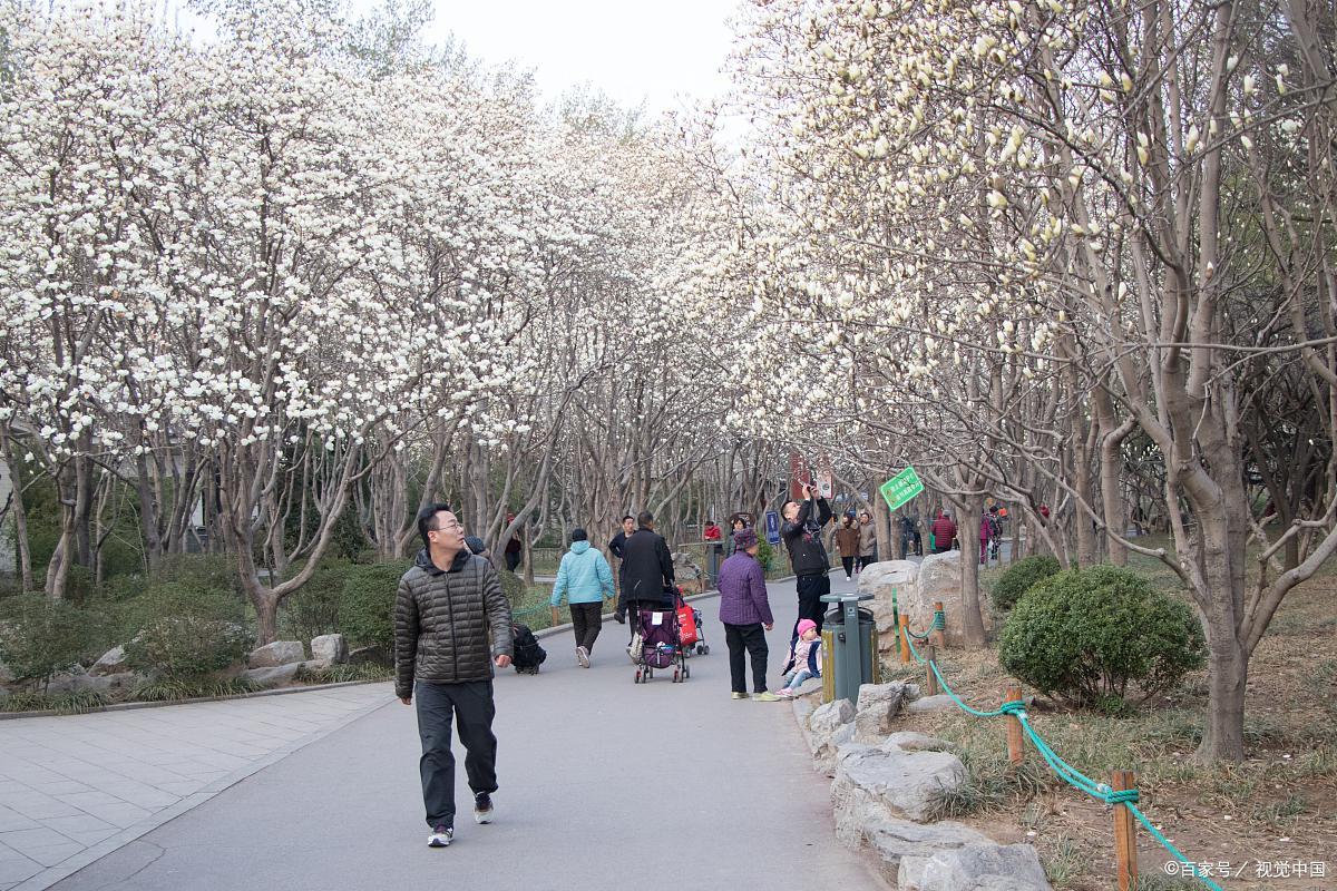 济南最受欢迎的景点攻略,济南最值得去的景点推荐一下