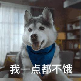 为什么白羊终究会辜负摩羯,白羊能虐到摩羯吗