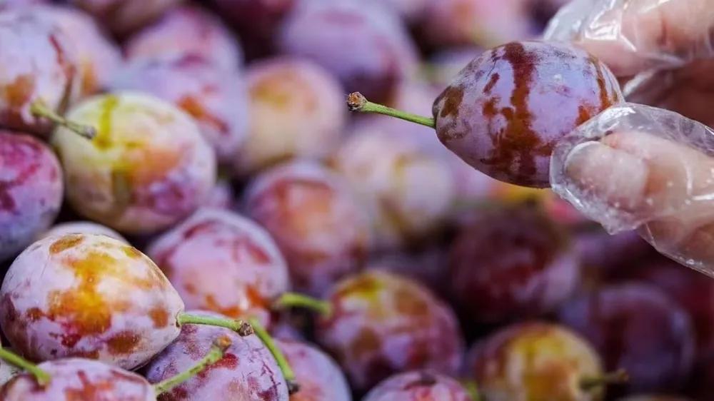 开一个水果店要有哪些水果,水果店开店学习