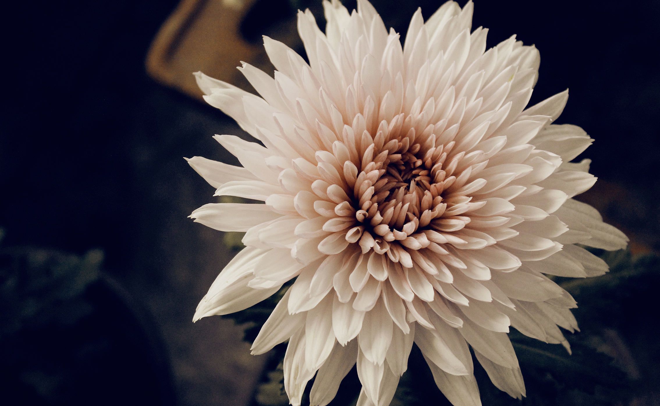 痔疮和肛裂手术一起做,痔疮手术会引起肛裂吗