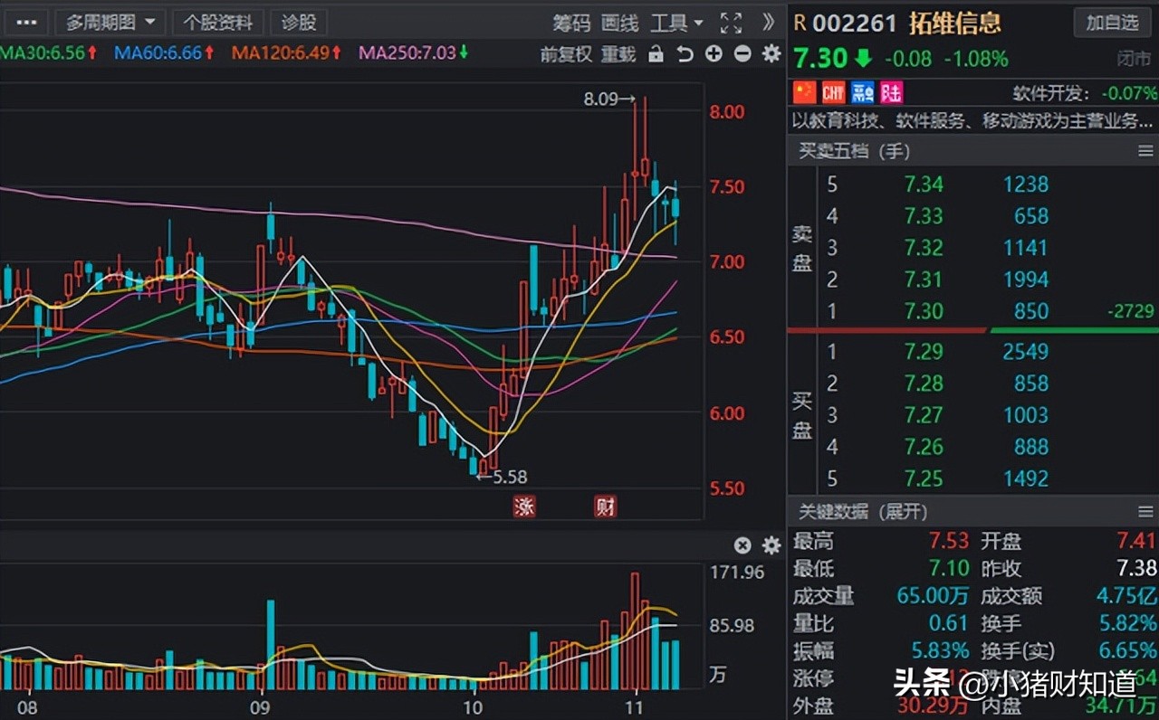 政策助力！虚拟数字人板块迎新“催化”，8家高增长股名单梳理