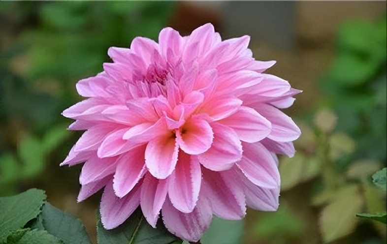 失眠其实很简单,失眠彻底治愈的七大方法