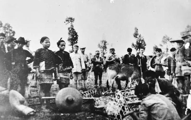 琼崖纵队与解放军会师片段,孤岛上的解放军