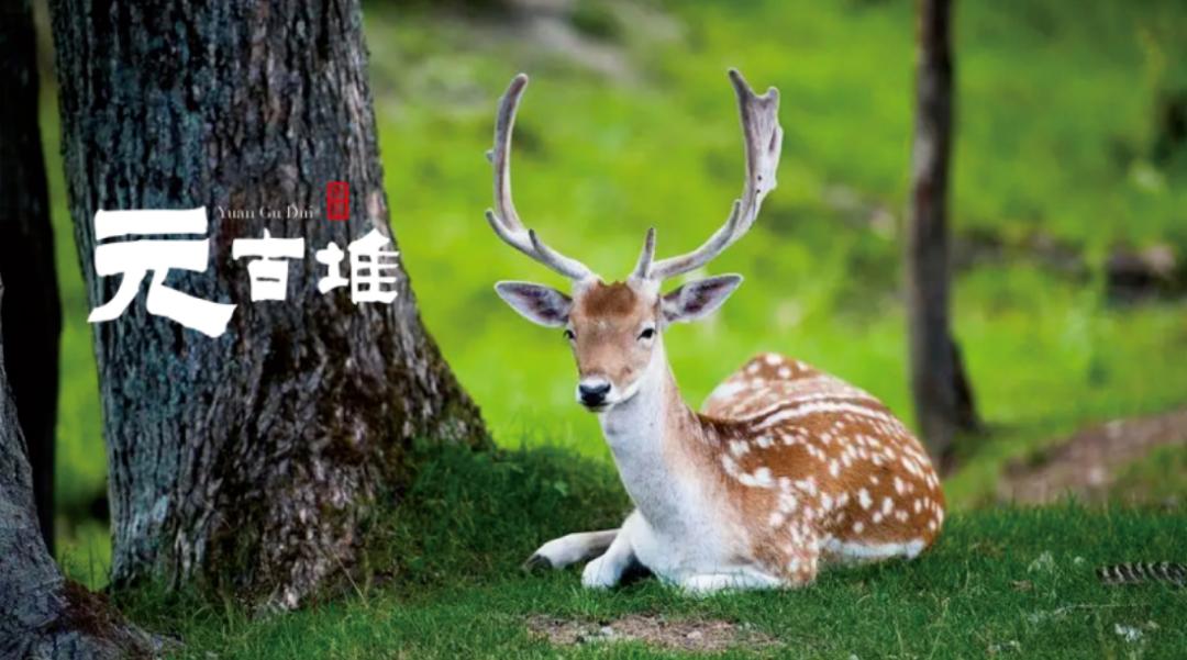 遇见20岁的男孩,遇见20年前的人