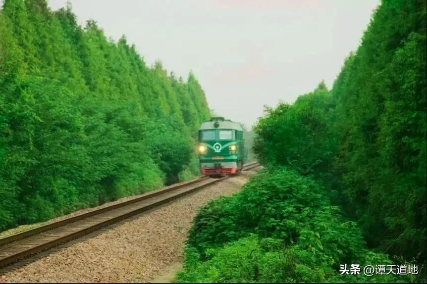 火车编号z是什么,火车gdkz各代表什么