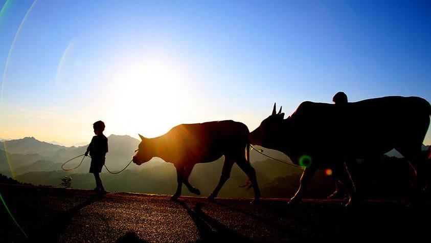 写村舍美景如画最经典的古诗词,关于乡村生活的名诗名句