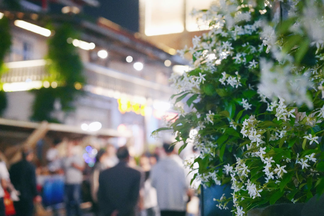 离重庆近的旅游省份自驾,离重庆8个小时左右的旅游胜地