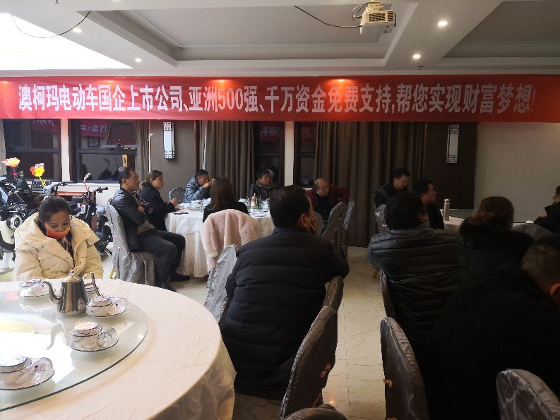 澳柯玛电动车厂家,澳柯玛电动车临港总代理