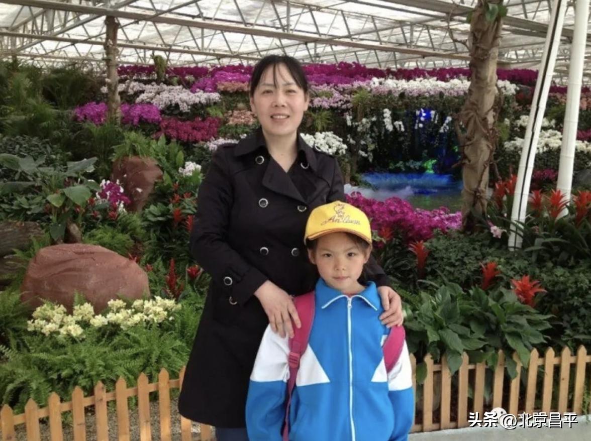 师德师风榜样人物,2019昌平榜样