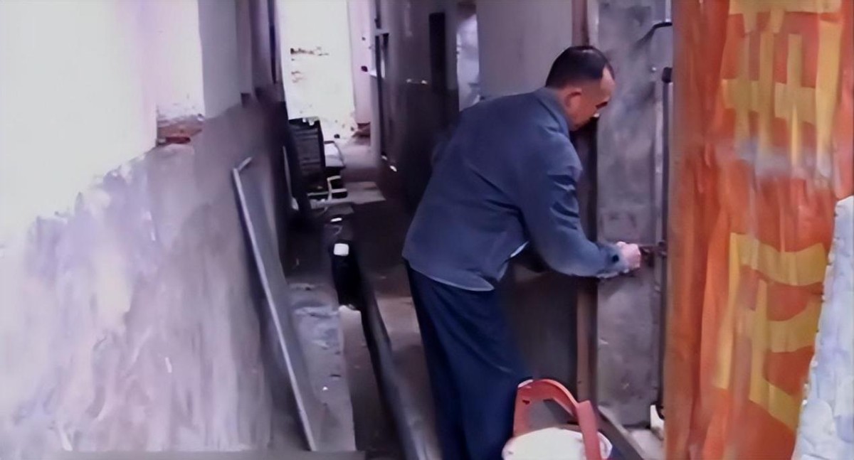 母猪生豹纹猪仔,母猪生下豹纹怪猪