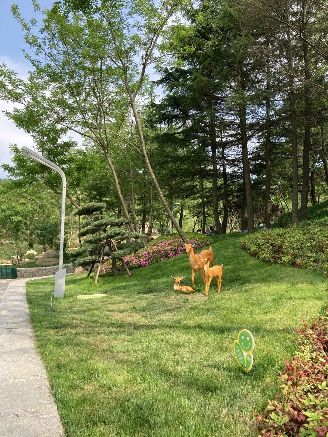 青岛浮山森林公园好玩吗,青岛浮山森林公园开放时间