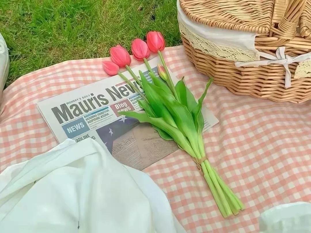 现在的大学生不考研,大学生除了考研还有哪些出路