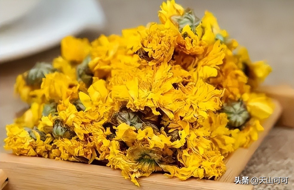 菊花茶怎么判断菊花的好坏,菊花茶白色和黄色菊花哪个好