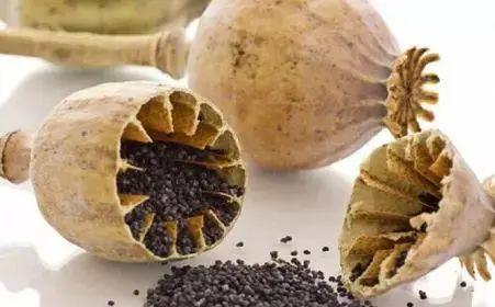 英国发动鸦片战争是不是为了贸易,英国发动侵华战争和王室有关吗