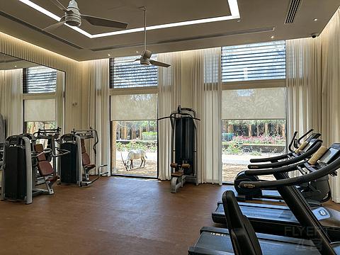 阿联酋丽思卡尔顿,阿联酋野奢帐篷