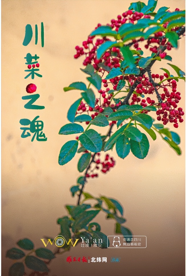 川菜江湖特色菜馆,地道川菜雅安