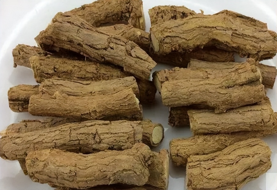 一味地骨皮泡水喝的功效,地骨皮的功效秘方