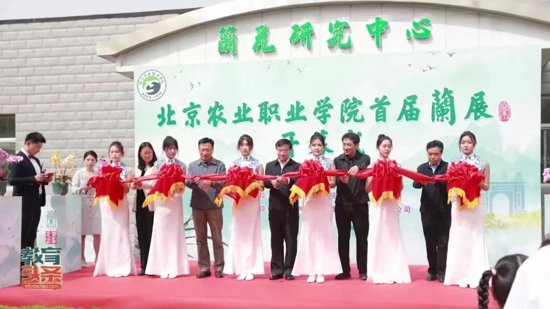 北京农业职业学院首届兰展,北京农职兰花展