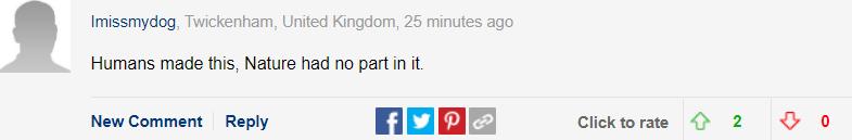 巴哥犬最大的特点,巴哥犬最令人头疼的5大缺点