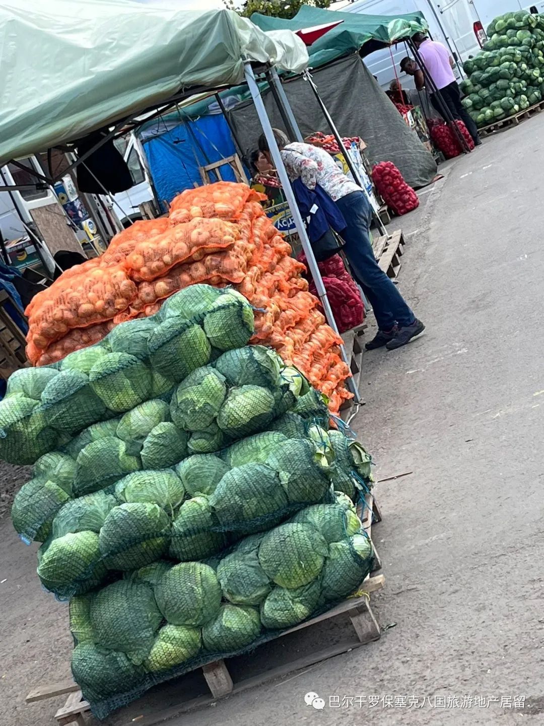 罗马尼亚蔬菜,罗马尼亚大型水果批发市场
