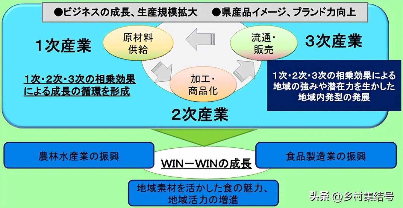 日本爱媛县柑橘,日本爱媛县柑橘研究所